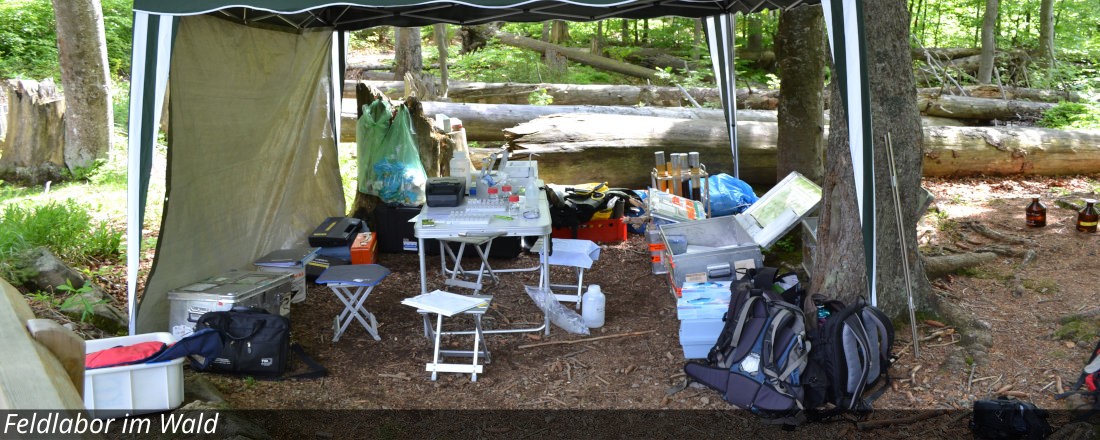 Feldlabor